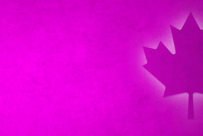 magenta background with illuminated Canadian maple leaf