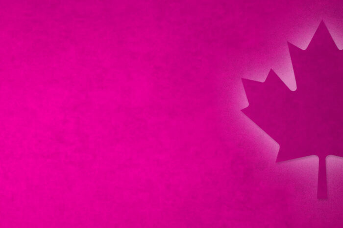 light pink background with illuminated Canadian maple leaf